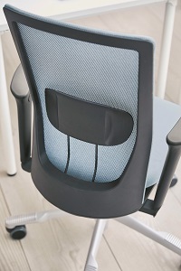 FUTU FUTU Mesh, Lordosestuetze 01 - FUTU