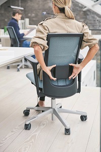 FUTU FUTU Mesh, Lordosestuetze 02 - FUTU