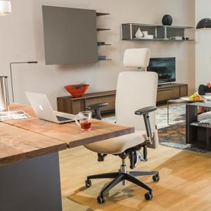 360 iQ Homeoffice - BIOSWING 3er-Reihe