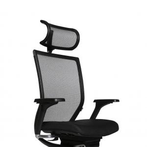 TITAN 10 - TITAN & TITAN LIMITED