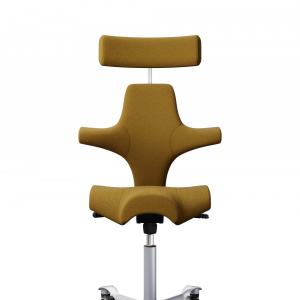 HAG Capisco 8107 - CAPISCO