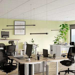 Spine 4, Arbeitszonen Referenz - Spine