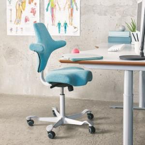HAG Capisco 8106, Referenz - CAPISCO
