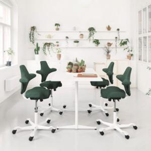 HAG Capisco 8106, Referenz - CAPISCO