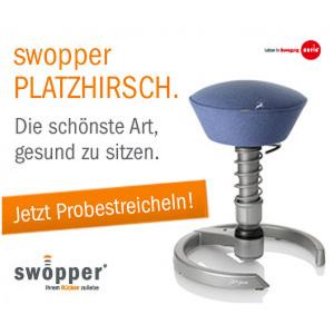 Der PLATZHIRSCH von aeris Der PLATZHIRSCH von aeris