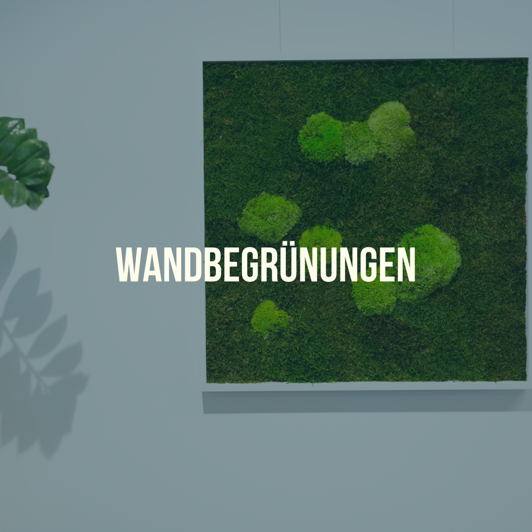 Wandbegrünung Wandbegrünung